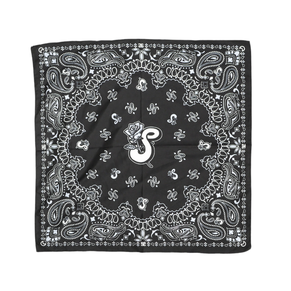Paisley Bandana