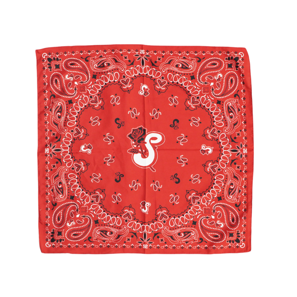 Paisley Bandana