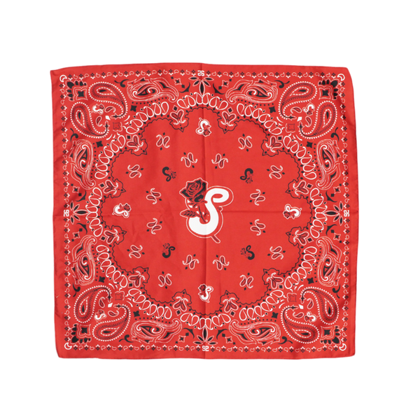 C6EC063C-C895-47E7-96D5-